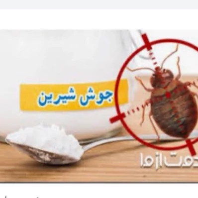 سم ساس کش پیرانا Pyranha اورجینال مخصوص ساس یک لیتری بدون بو
