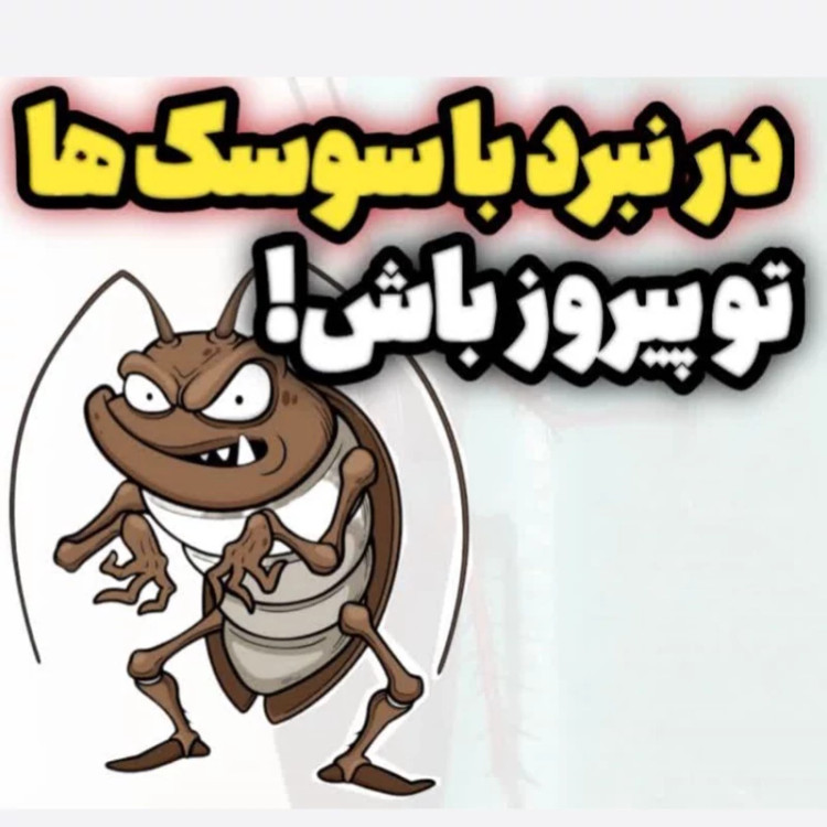 سم سوسک کش ریپلزال کابینتی و فاضلابی اورجینال بدون بو