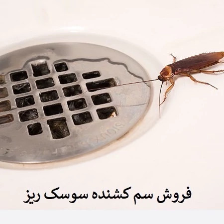 سم سوسک کش ریپلزال کابینتی و فاضلابی اورجینال بدون بو