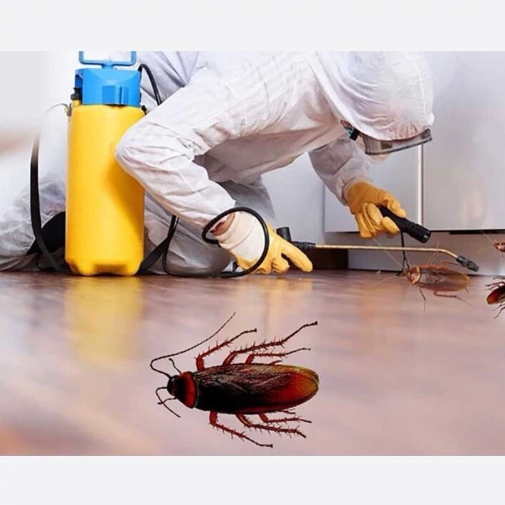 سم سوسک کش ریپلزال کابینتی و فاضلابی اورجینال بدون بو