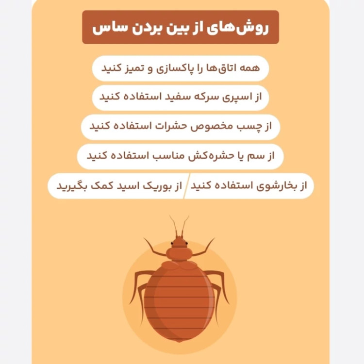 سم ساس کش پیرانا نسخه اصلی h به شرط مرجوعی کالا بدون بو