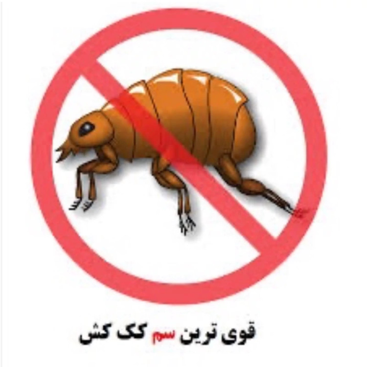 سم کک کش کلین آپ پاک سازی کننده انواع کک اورجینال