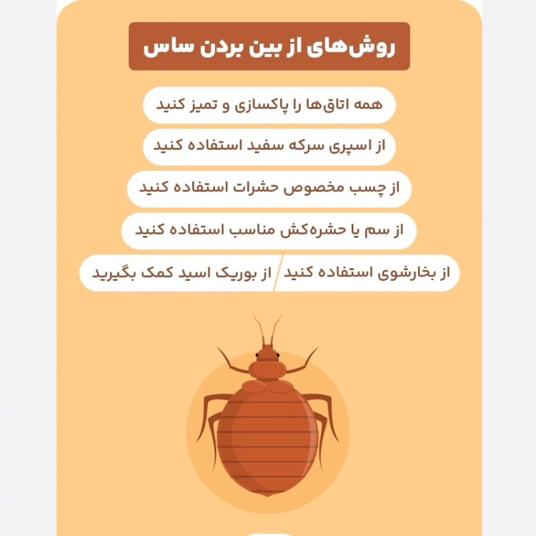 سم ساس بد باگ اوت نسخه اصلی اورجینال بی رقیب