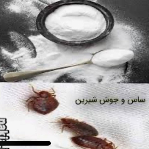 سم کشنده ساس پرومکس اورجینال بدون بو