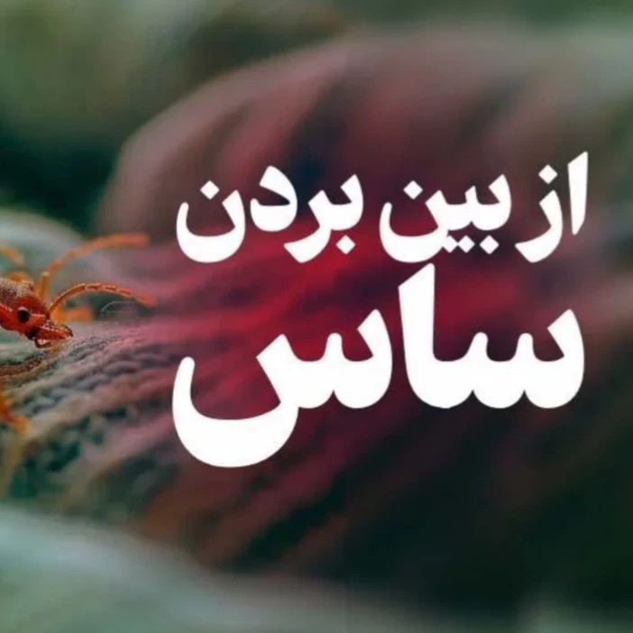 سم کشنده ساس پرومکس اورجینال بدون بو