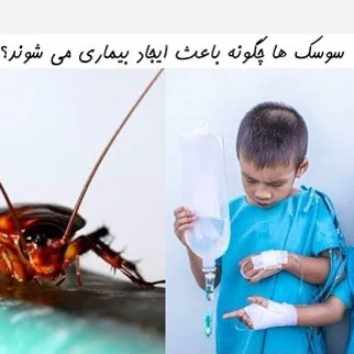 سم سوسک کش نسخه R با ضمانت گیاهپزشکی سبز بدون بو درجه 1