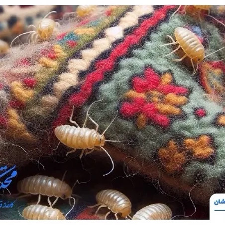 سم بید کش فرش و محیط برند پست اکسپرت نسخه اصلی