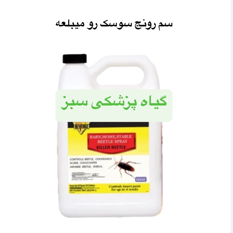 سم سوسک کش رونج Revenge اورجینال بدون بو