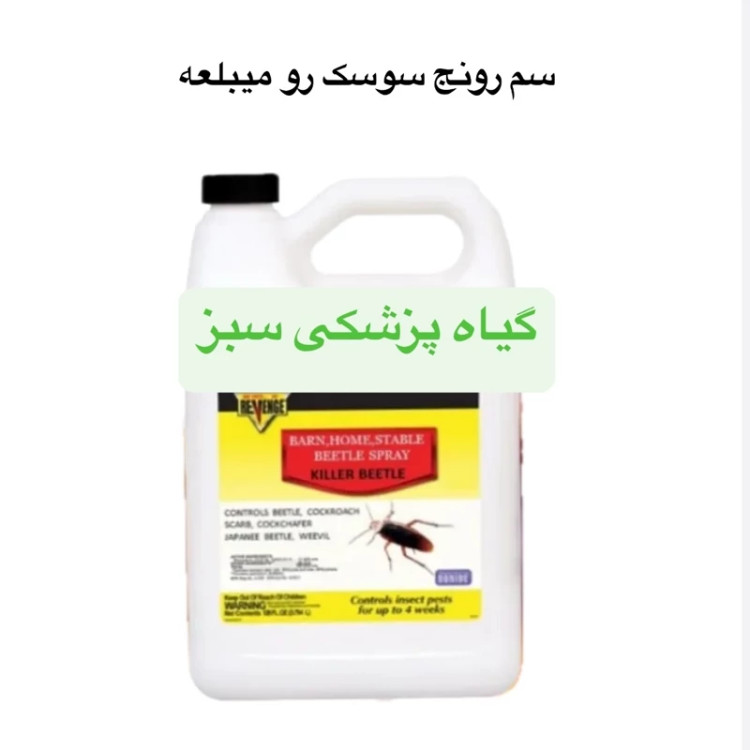 سم سوسک کش رونج Revenge اورجینال بدون بو