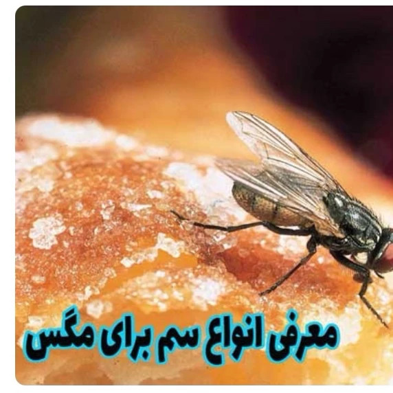 سم مگس کش دیویس اورجینال نابودکننده انواع مگس