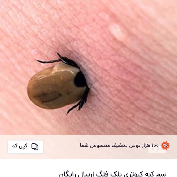 سم کنه کبوتری بلک فلگ اورجینال نابودی تضمینی انواع کنه