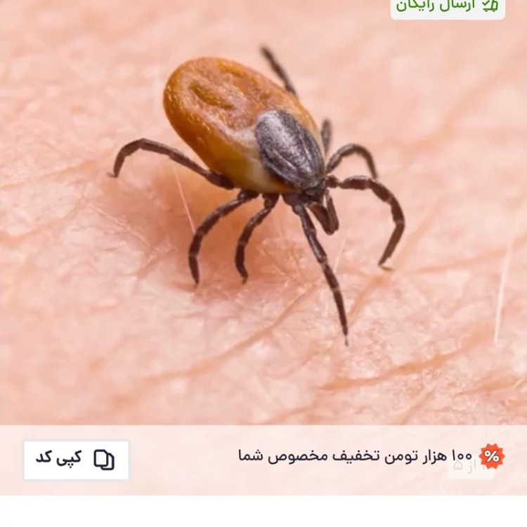 سم کنه کبوتری بلک فلگ اورجینال نابودی تضمینی انواع کنه