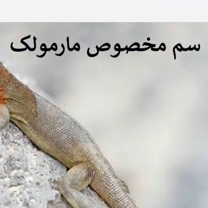 سم مارمولک کش لیزارد کشنده ترین سم ارسال رایگان