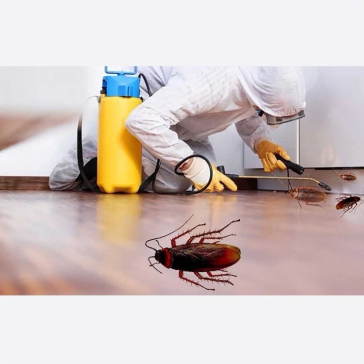 سم ریپلزال اورجینال کابوس سوسک های ریز و درشت ارسال رایگان
