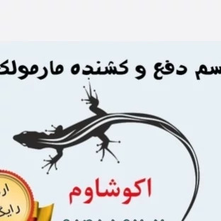 سم 4 لیتری مارمولک کش آکوشام چینی عمده ارسال رایگان
