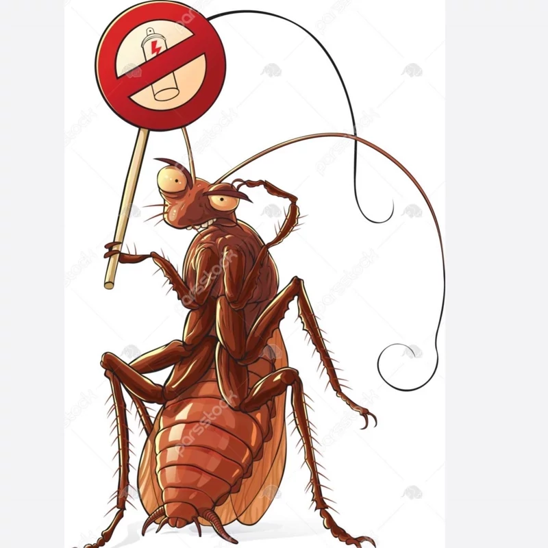 سم سوسک کش رونج رقیب سوسک های آلمانی ارسال رایگان