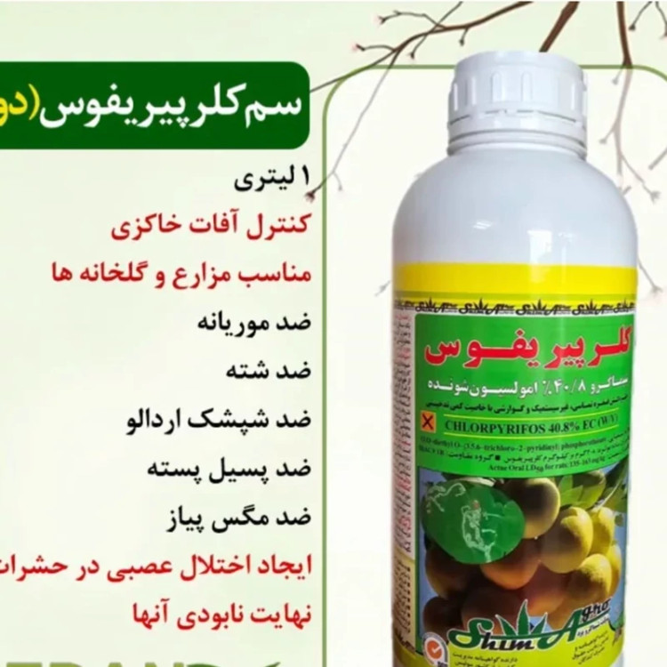 سم کلرپیریفوس یک لیتری آفت کشکنه کش وضد شته درختان میوه محصول گل سم ارسال رایگان