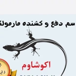 سم مارمولک کش لیزارد LIZARD قاتل مارمولک های مزاحم ارسال رایگان