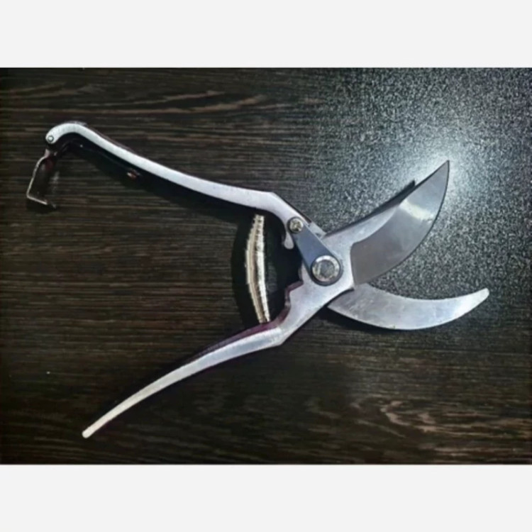 قیچی خوب باغبانی