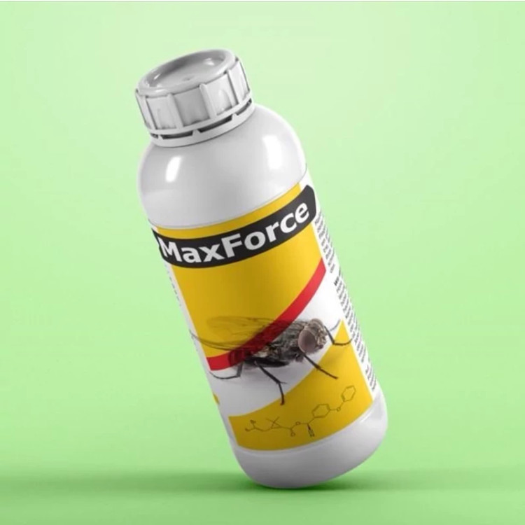 سم قدرتمند مکس فورس MaxForce برای کنترل مگس ارسال رایگان به همراه یک عدد سمپاش سر نوشابه ای