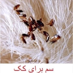 سم کک کش اورجینال حیوانات و محیط فلازتینگ مانگ نسخه اورگانیک