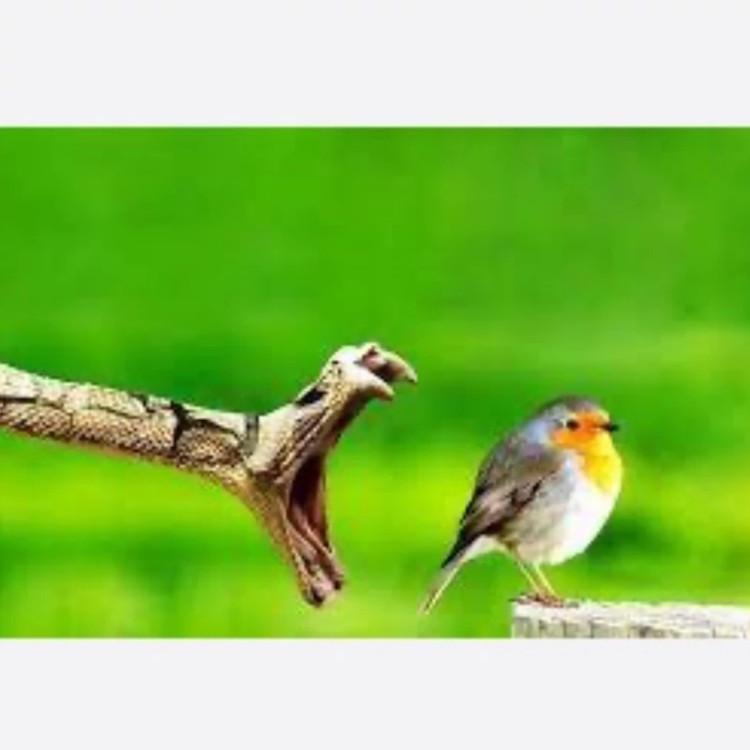سم کشنده قوی مار استیک وی اورجینال