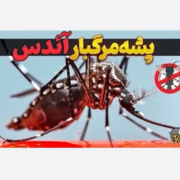 سم پشه کش قدرتمند بات Beat ارسال رایگان