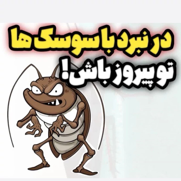 سم 4 لیتری سوسک ریز و درشت رونج عمده مبارز اول ارسال رایگان