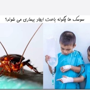 سم سوسک کش آکواپای AquaPy اورجینال نسخه اصلی ارسال رایگان