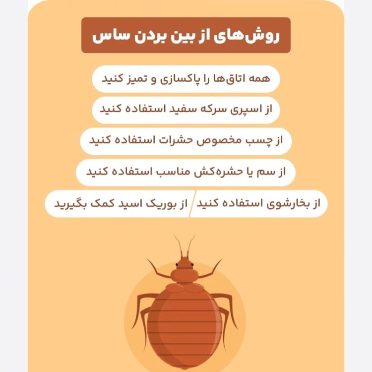 سم ساس بد باگ اوت کشنده ترین ساس کش ارسال رایگان