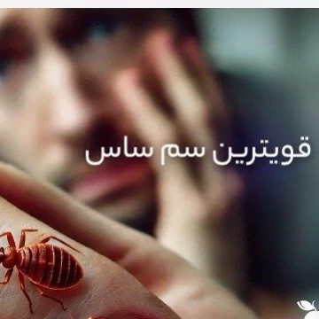 سم ساس بد باگ اوت کشنده ترین ساس کش ارسال رایگان